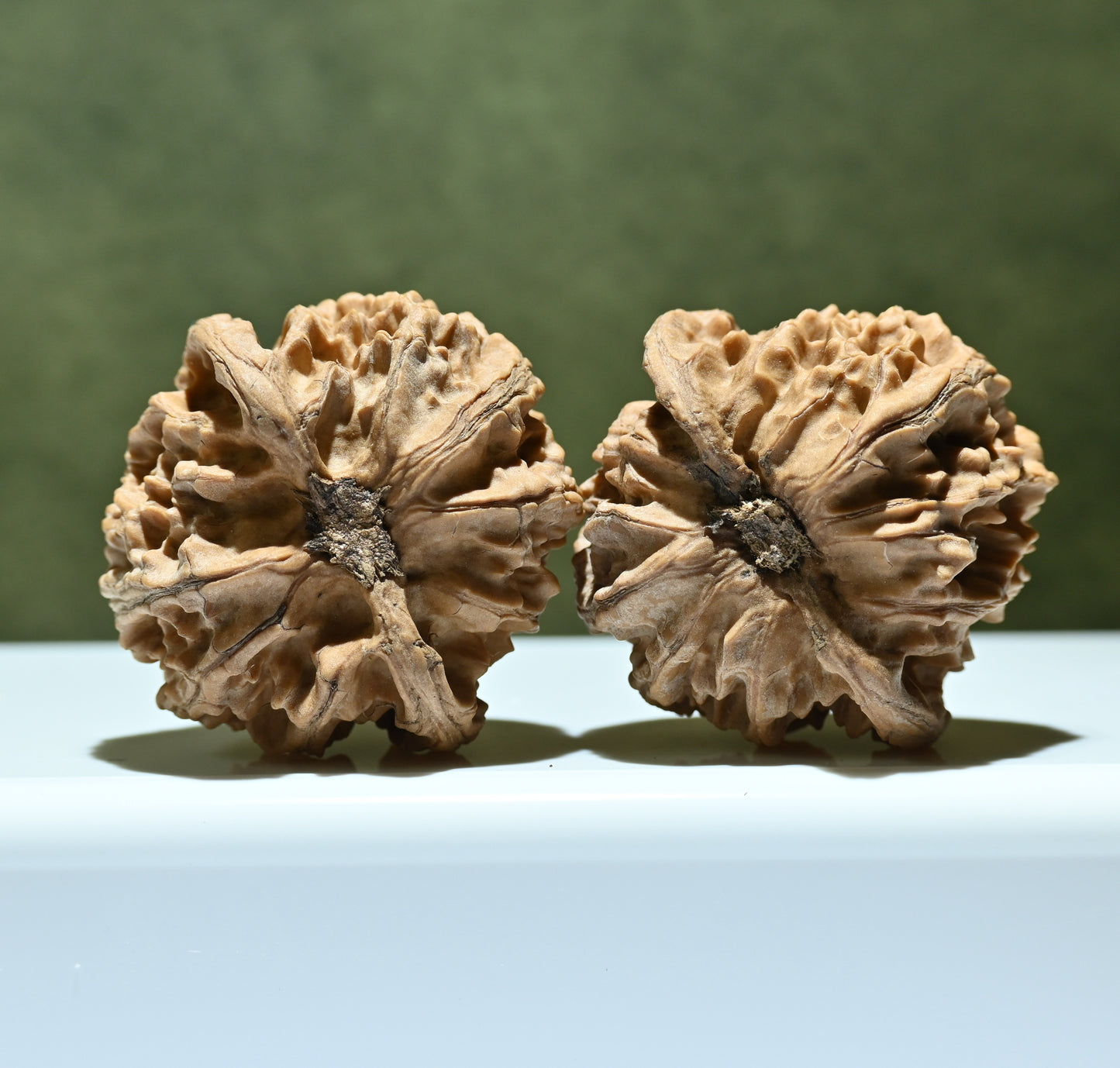 Budget Wenwan Walnuts | Minor Flaws | Great for Beginners|Apple Round Wenwan Walnuts