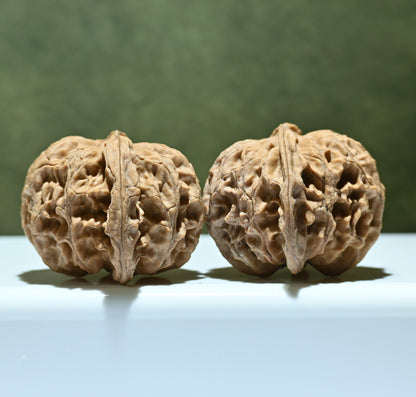 Budget Wenwan Walnuts | Minor Flaws | Great for Beginners｜Apple Round Wenwan Walnuts