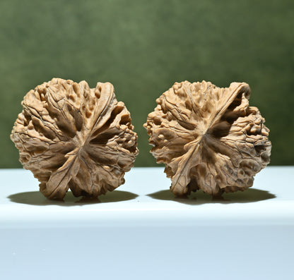 Budget Wenwan Walnuts | Minor Flaws | Great for Beginners｜Apple Round Wenwan Walnuts