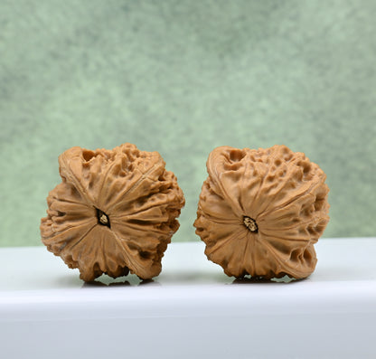 Budget Wenwan Walnuts | Minor Flaws | Great for Beginners｜Millstone Lion  Wenwan Walnuts