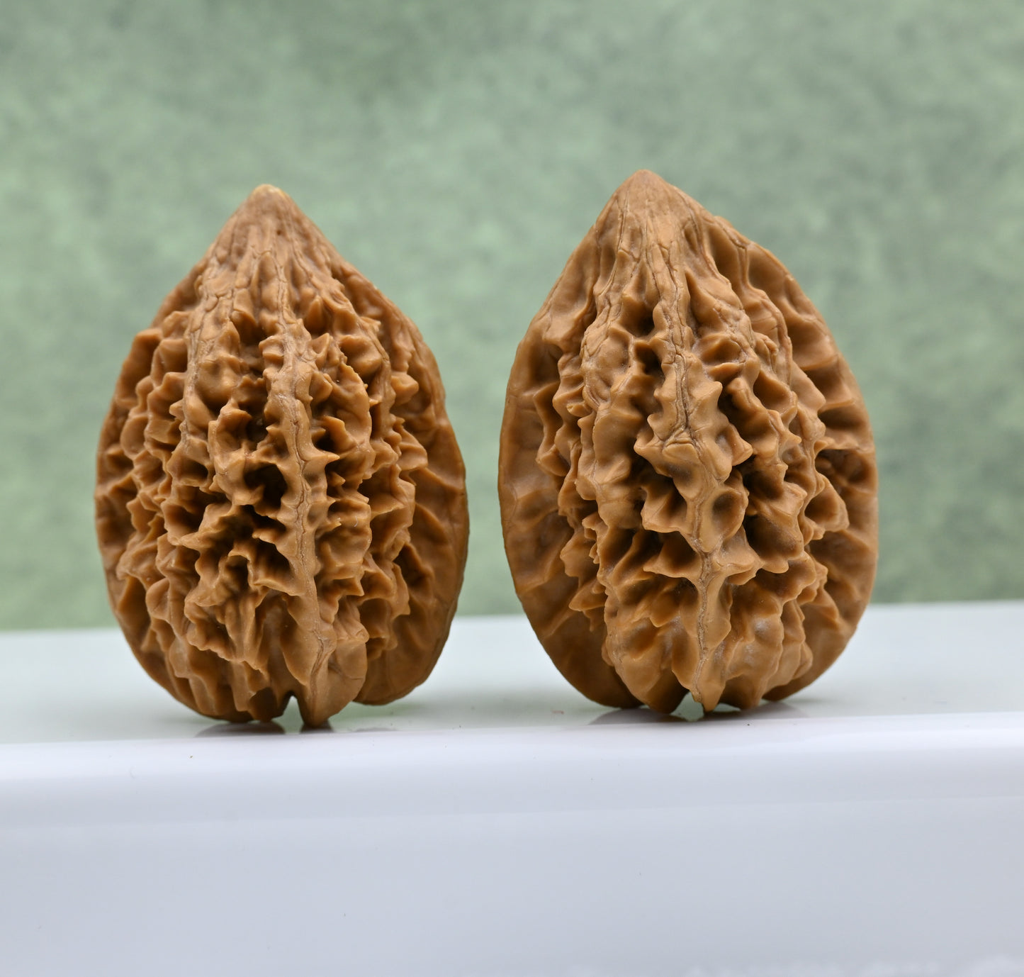 Budget Wenwan Walnuts | Minor Flaws | Great for Beginners｜Fortune Mouse Wenwan Walnuts