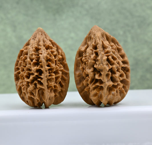 Budget Wenwan Walnuts | Minor Flaws | Great for Beginners｜Fortune Mouse Wenwan Walnuts
