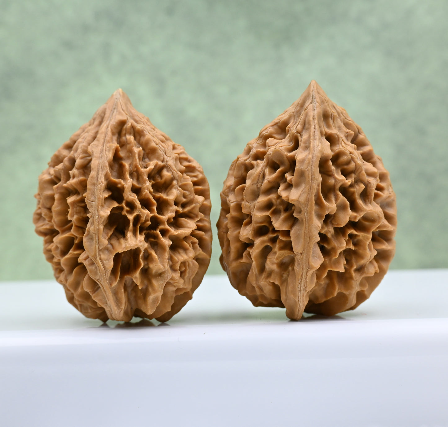 Budget Wenwan Walnuts | Minor Flaws | Great for Beginners｜Fortune Mouse Wenwan Walnuts