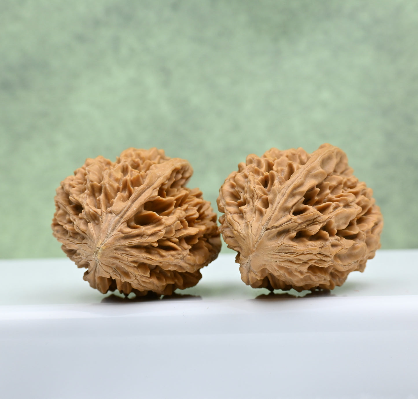 Budget Wenwan Walnuts | Minor Flaws | Great for Beginners｜Fortune Mouse Wenwan Walnuts