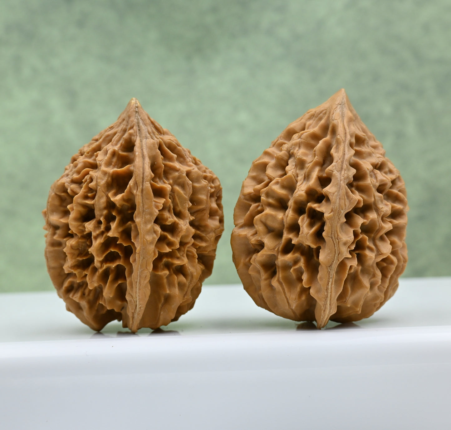 Budget Wenwan Walnuts | Minor Flaws | Great for Beginners｜Fortune Mouse Wenwan Walnuts