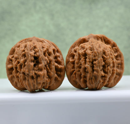Budget Wenwan Walnuts | Minor Flaws | Great for Beginners｜Golden Ingot WenWan Walnuts