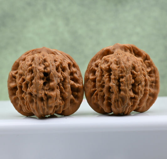 Budget Wenwan Walnuts | Minor Flaws | Great for Beginners｜Golden Ingot WenWan Walnuts