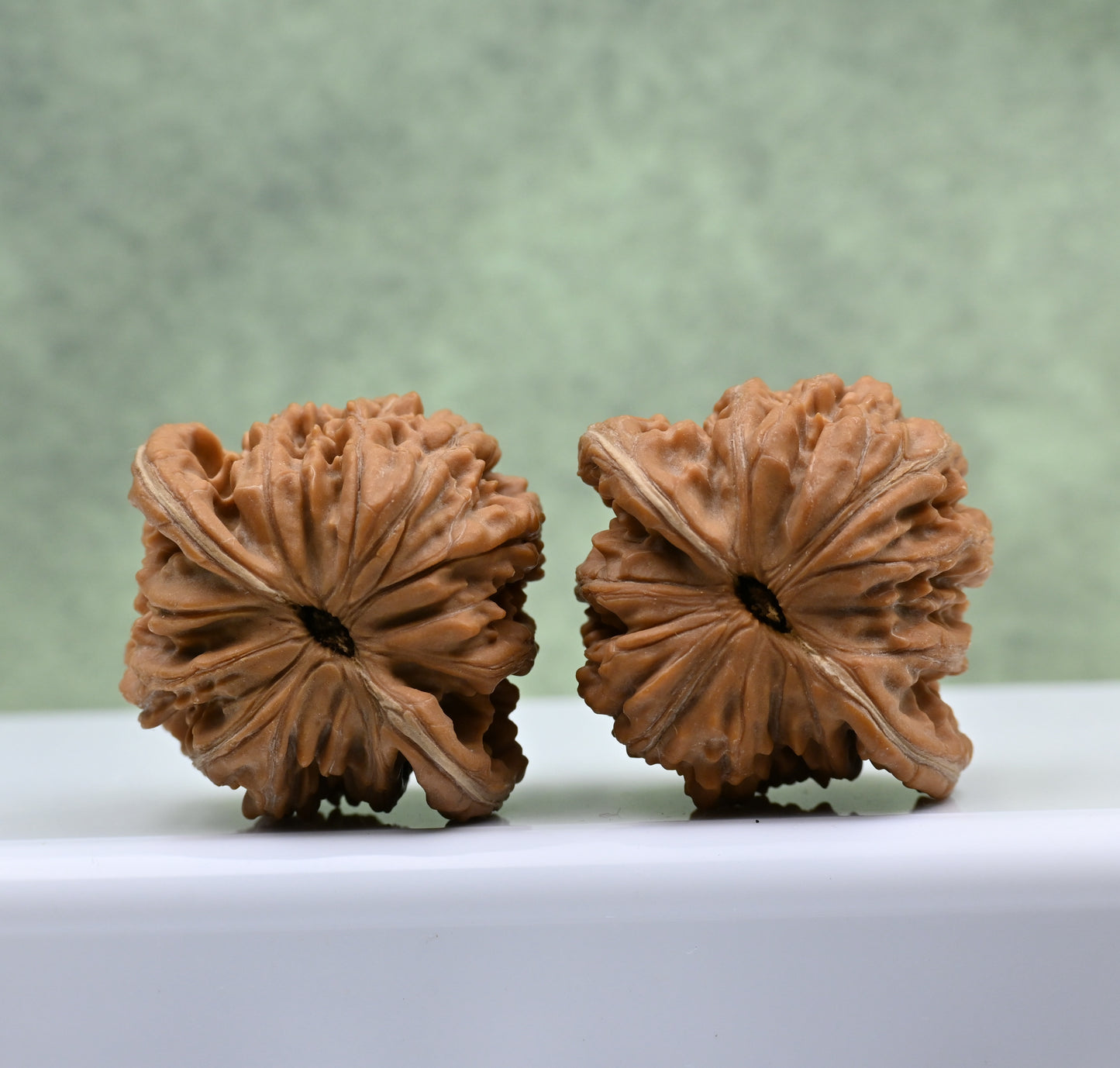 Budget Wenwan Walnuts | Minor Flaws | Great for Beginners｜Golden Ingot WenWan Walnuts