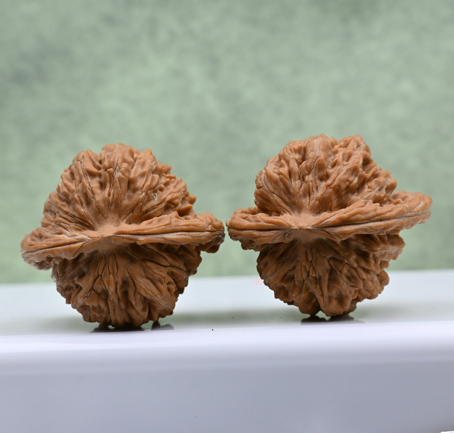 Budget Wenwan Walnuts | Minor Flaws | Great for Beginners｜Golden Ingot WenWan Walnuts