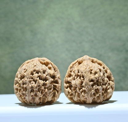 Budget Wenwan Walnuts | Minor Flaws | Great for Beginners｜NanJiangShi  Wenwan Walnuts