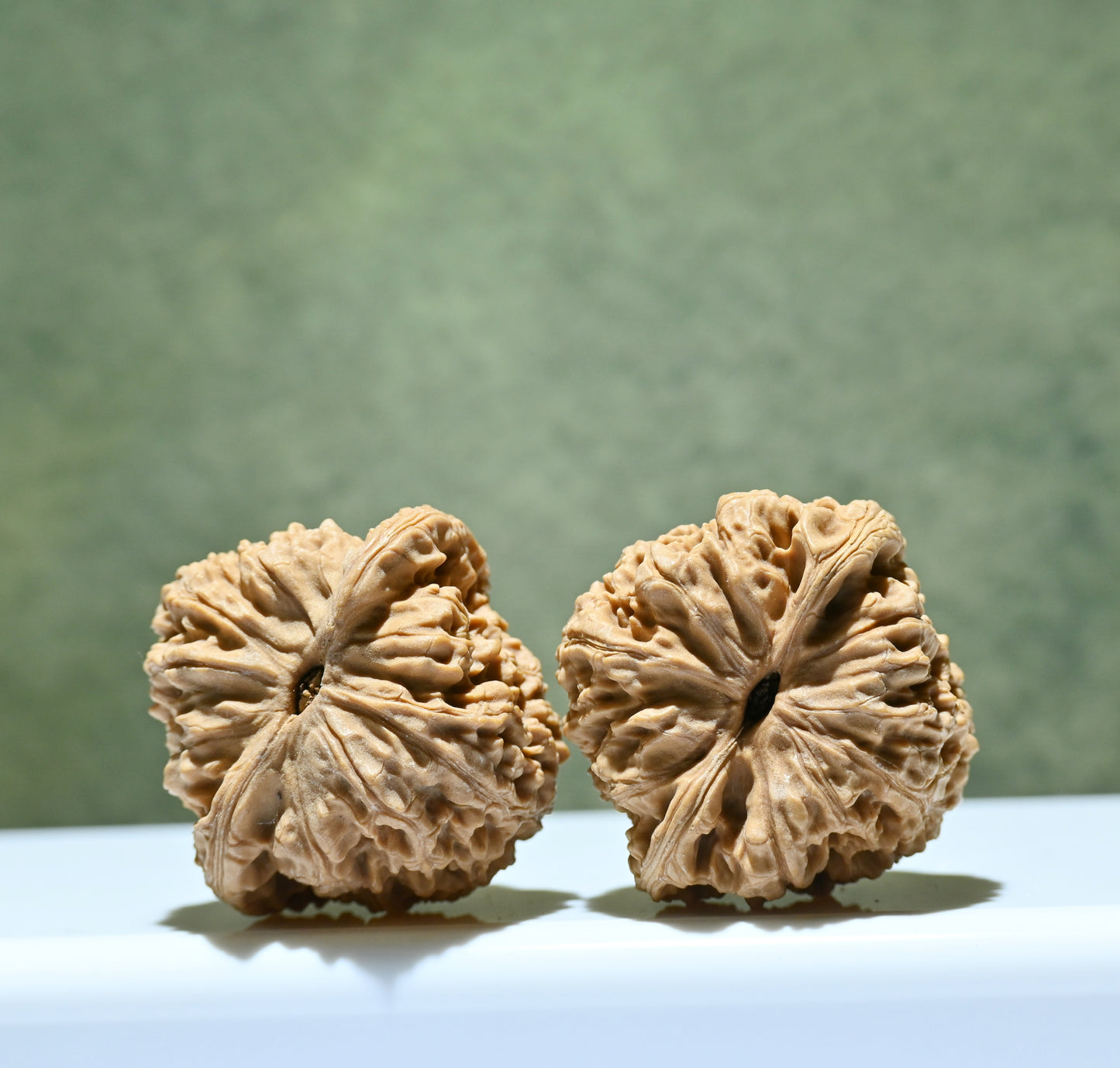 Budget Wenwan Walnuts | Minor Flaws | Great for Beginners｜NanJiangShi  Wenwan Walnuts