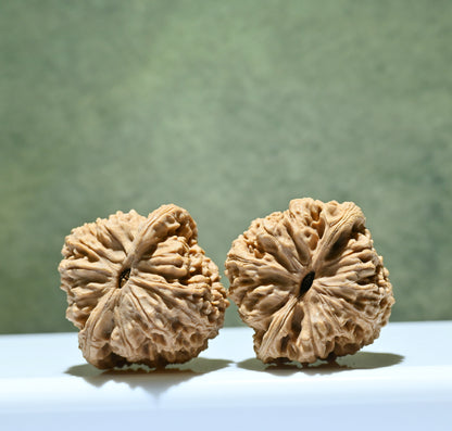 Budget Wenwan Walnuts | Minor Flaws | Great for Beginners｜NanJiangShi  Wenwan Walnuts