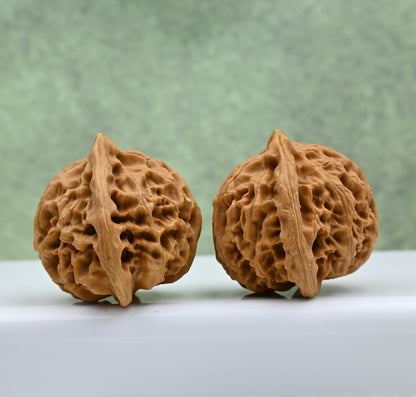 Budget Wenwan Walnuts | Minor Flaws | Great for Beginners｜Palace Lantern Wenwan Walnuts