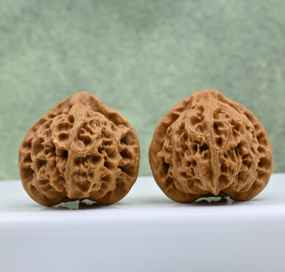 Budget Wenwan Walnuts | Minor Flaws | Great for Beginners｜Palace Lantern Wenwan Walnuts