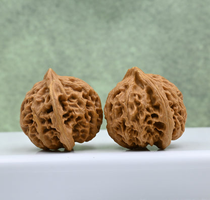 Budget Wenwan Walnuts | Minor Flaws | Great for Beginners｜Palace Lantern Wenwan Walnuts
