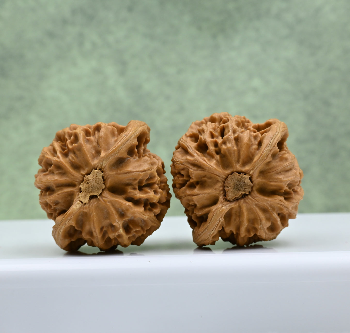 Budget Wenwan Walnuts | Minor Flaws | Great for Beginners｜Palace Lantern Wenwan Walnuts