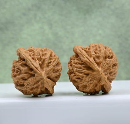 Budget Wenwan Walnuts | Minor Flaws | Great for Beginners｜Palace Lantern Wenwan Walnuts