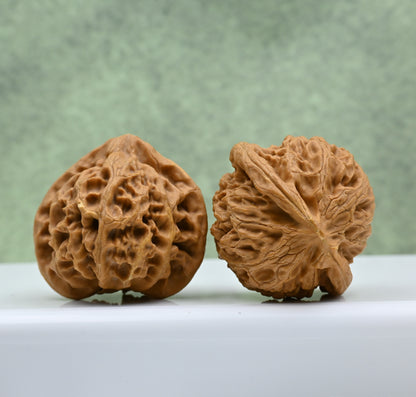 Budget Wenwan Walnuts | Minor Flaws | Great for Beginners｜Palace Lantern Wenwan Walnuts