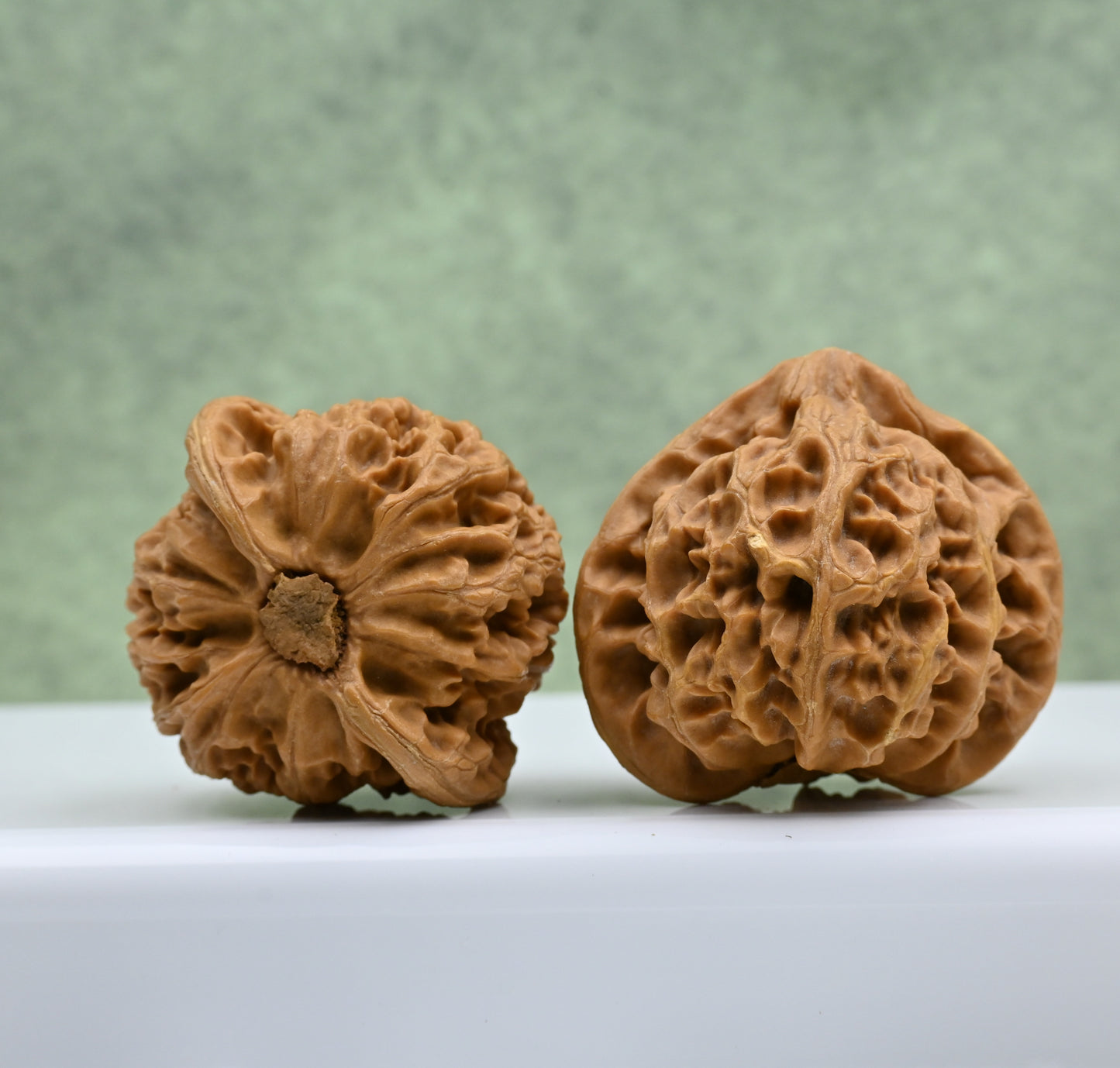 Budget Wenwan Walnuts | Minor Flaws | Great for Beginners｜Palace Lantern Wenwan Walnuts
