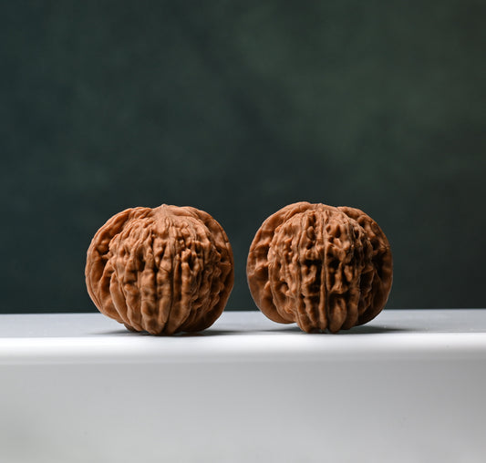 Budget Wenwan Walnuts | Minor Flaws | Great for Beginners｜SiZuoLou  Wenwan Walnuts