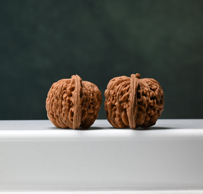 Budget Wenwan Walnuts | Minor Flaws | Great for Beginners｜SiZuoLou  Wenwan Walnuts
