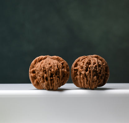Budget Wenwan Walnuts | Minor Flaws | Great for Beginners｜SiZuoLou  Wenwan Walnuts