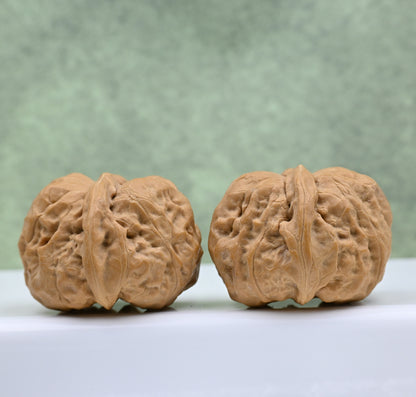 Budget Wenwan Walnuts | Minor Flaws | Great for Beginners｜Toad Head WenWan Walnuts