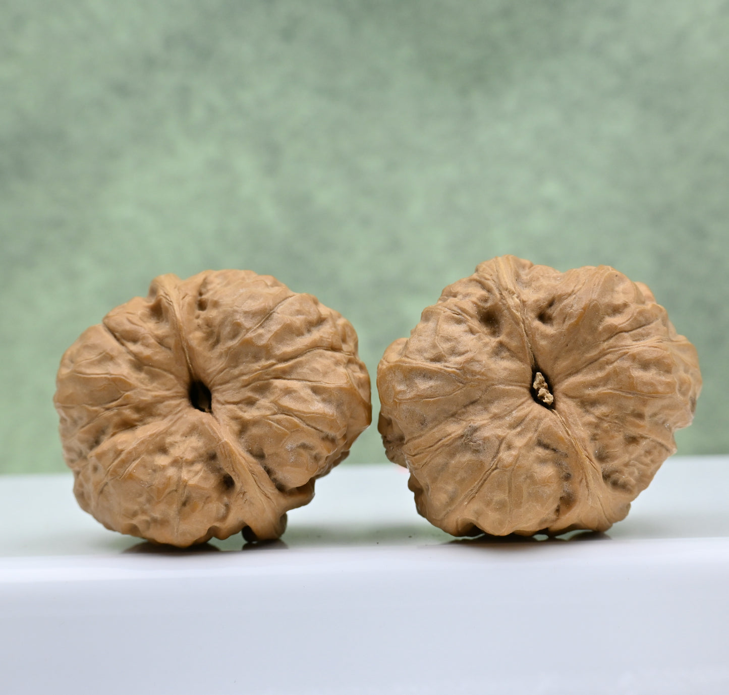 Budget Wenwan Walnuts | Minor Flaws | Great for Beginners｜Toad Head WenWan Walnuts