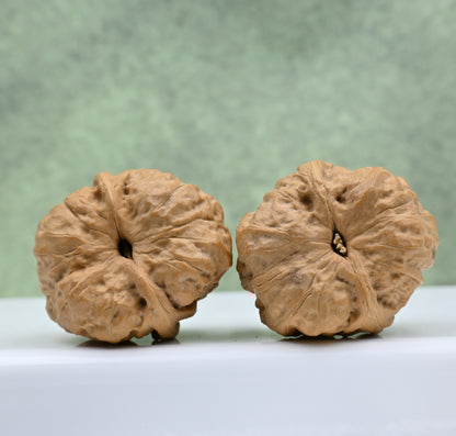 Budget Wenwan Walnuts | Minor Flaws | Great for Beginners｜Toad Head WenWan Walnuts