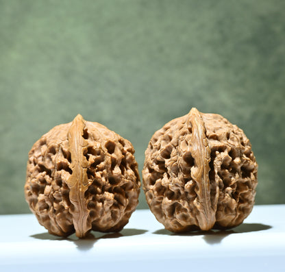 Budget Wenwan Walnuts | Minor Flaws | Great for Beginners｜Water Dragon Pattern Wenwan Walnuts