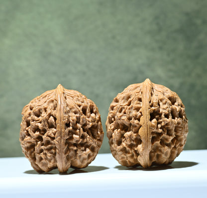 Budget Wenwan Walnuts | Minor Flaws | Great for Beginners｜Water Dragon Pattern Wenwan Walnuts
