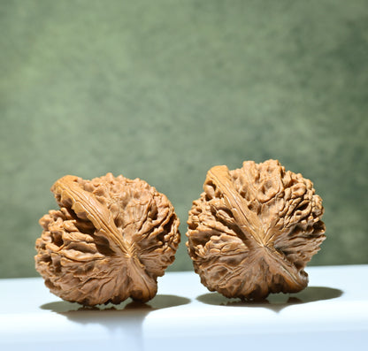 Budget Wenwan Walnuts | Minor Flaws | Great for Beginners｜Water Dragon Pattern Wenwan Walnuts