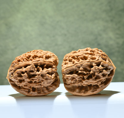 Budget Wenwan Walnuts | Minor Flaws | Great for Beginners｜Water Dragon Pattern Wenwan Walnuts