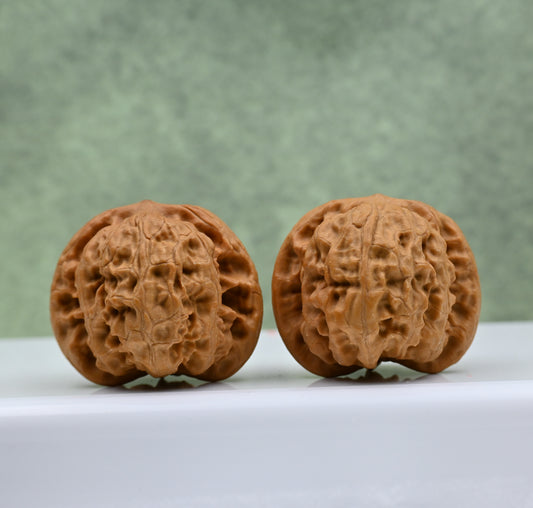 Budget Wenwan Walnuts | Minor Flaws | Great for Beginners｜Wild Wolf Wenwan Walnuts