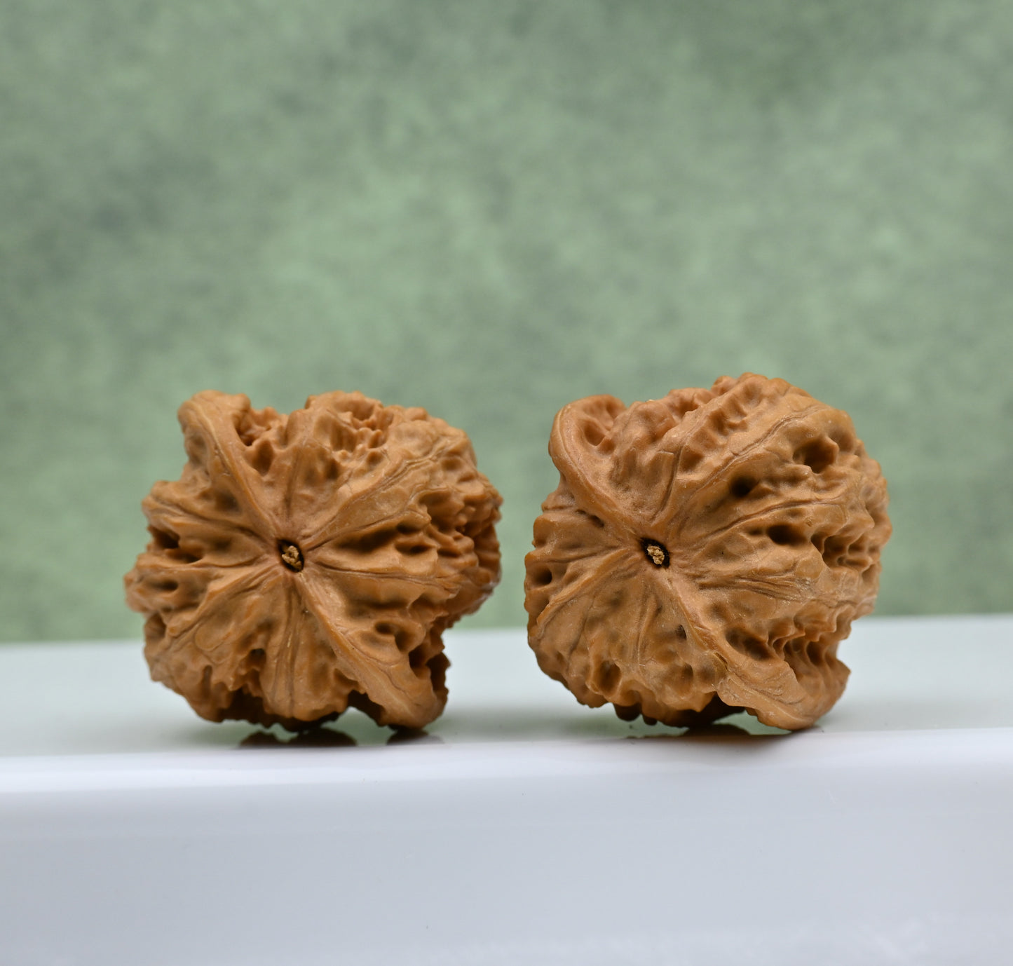 Budget Wenwan Walnuts | Minor Flaws | Great for Beginners｜Wild Wolf Wenwan Walnuts