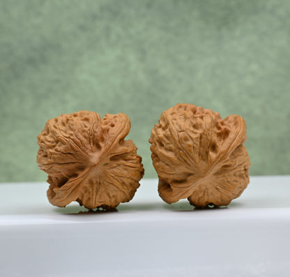 Budget Wenwan Walnuts | Minor Flaws | Great for Beginners｜Wild Wolf Wenwan Walnuts