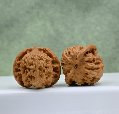 Budget Wenwan Walnuts | Minor Flaws | Great for Beginners｜Wild Wolf Wenwan Walnuts