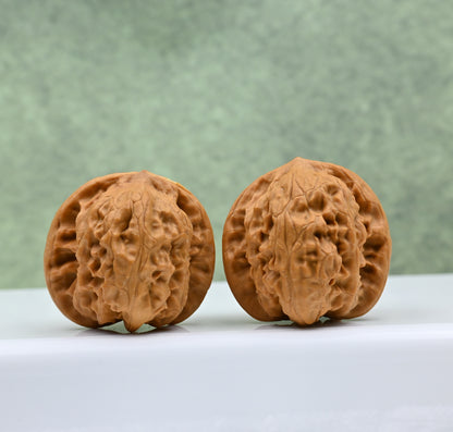 Wild Wolf Hand-Rubbed Wenwan Walnuts - Natural Stress Relief｜0804