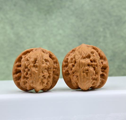 Wild Wolf Hand-Rubbed Wenwan Walnuts - Natural Stress Relief｜0804