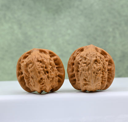 Wild Wolf Hand-Rubbed Wenwan Walnuts - Natural Stress Relief｜0804