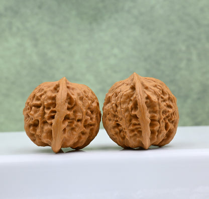 Wild Wolf Hand-Rubbed Wenwan Walnuts - Natural Stress Relief｜0804