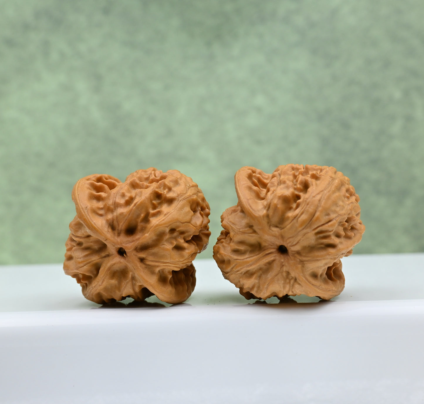 Wild Wolf Hand-Rubbed Wenwan Walnuts - Natural Stress Relief｜0804