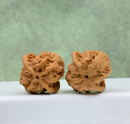 Wild Wolf Hand-Rubbed Wenwan Walnuts - Natural Stress Relief｜0804