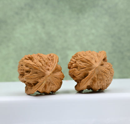 Wild Wolf Hand-Rubbed Wenwan Walnuts - Natural Stress Relief｜0804