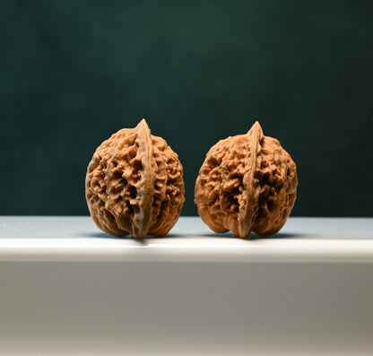 Budget Wenwan Walnuts | Minor Flaws | Great for Beginners｜XiaYunLing Wenwan Walnuts