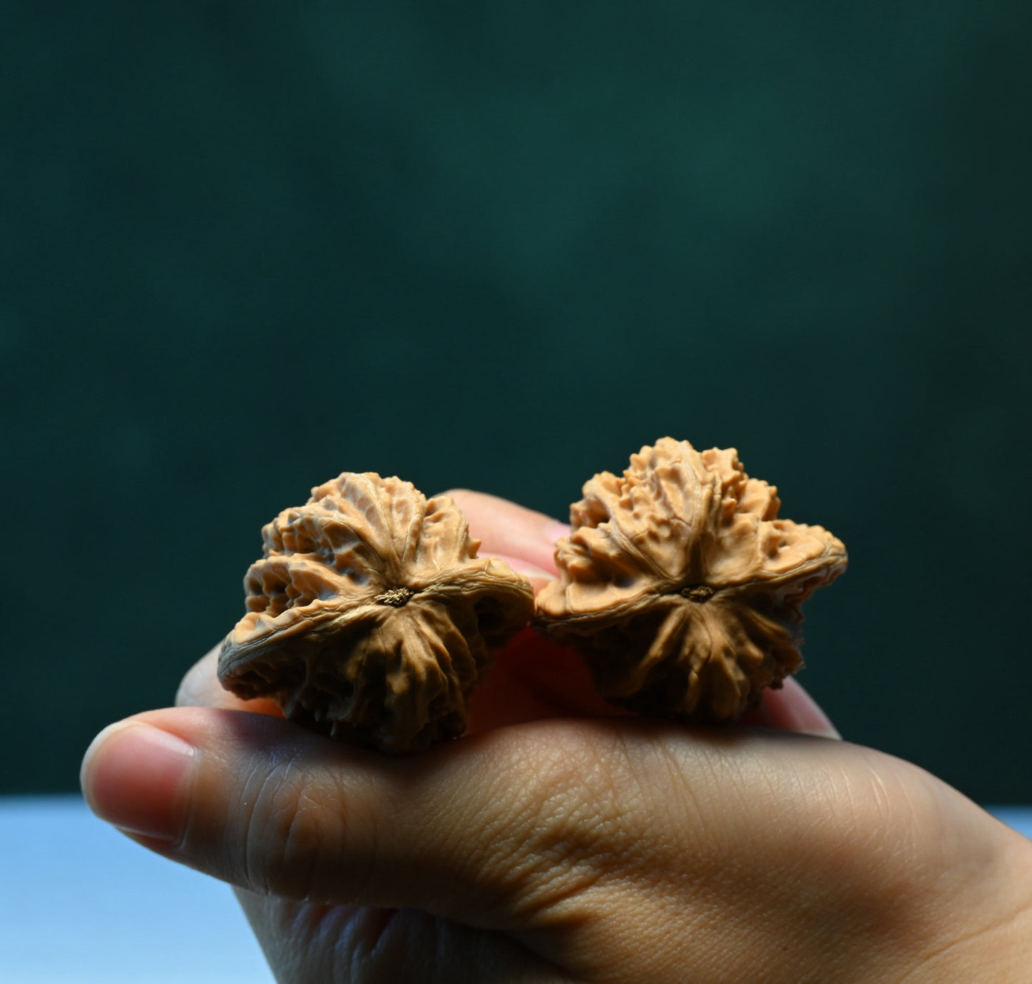 Budget Wenwan Walnuts | Minor Flaws | Great for Beginners｜XiaYunLing Wenwan Walnuts