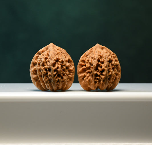 Budget Wenwan Walnuts | Minor Flaws | Great for Beginners｜XiaYunLing Wenwan Walnuts